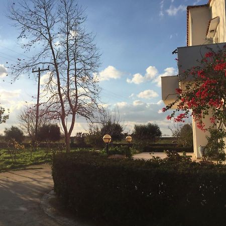 Swan House Panoramic View - Near The Sea Βίλα Zipárion Εξωτερικό φωτογραφία