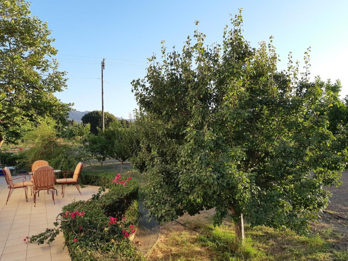 Swan House Panoramic View - Near The Sea Βίλα Zipárion Εξωτερικό φωτογραφία