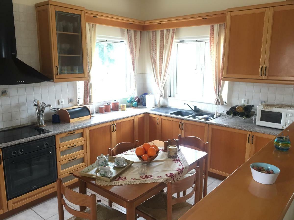 Swan House Panoramic View - Near The Sea Βίλα Zipárion Εξωτερικό φωτογραφία