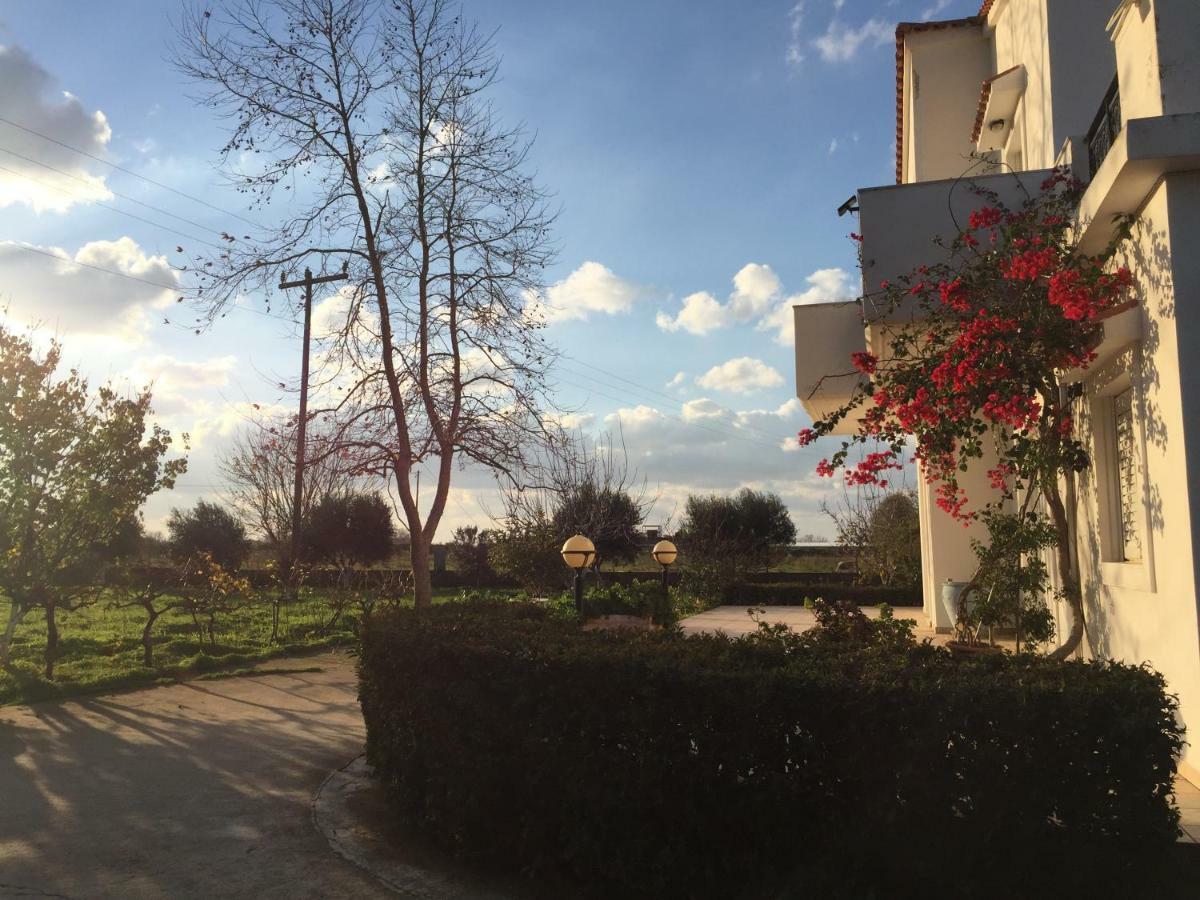 Swan House Panoramic View - Near The Sea Βίλα Zipárion Εξωτερικό φωτογραφία