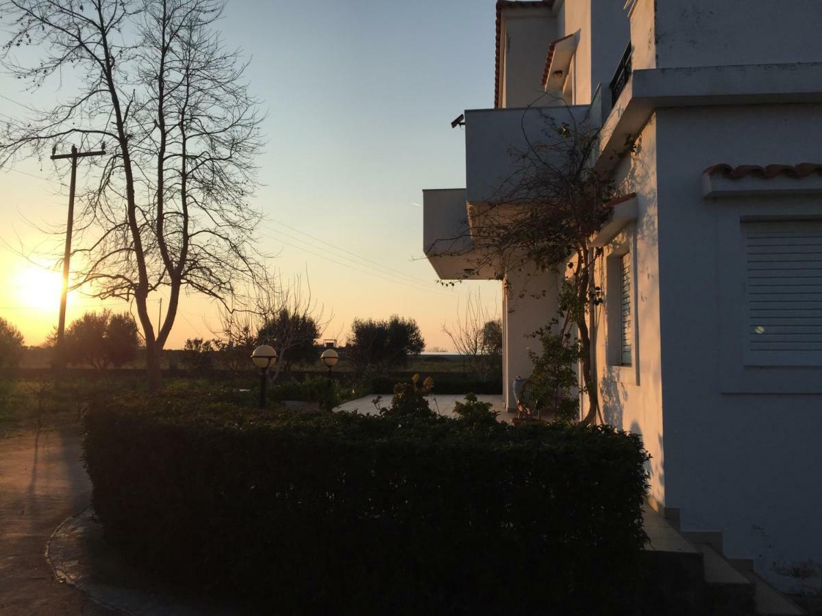 Swan House Panoramic View - Near The Sea Βίλα Zipárion Εξωτερικό φωτογραφία